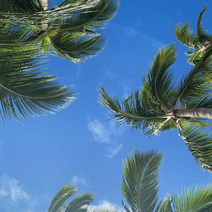 Meet your Posher, Joan